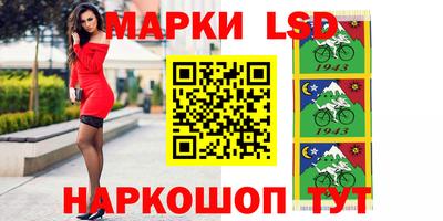 индика Сланцы