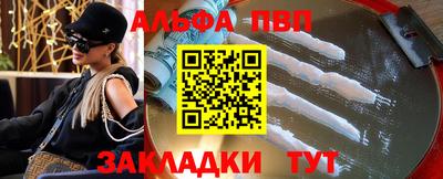 индика Сланцы