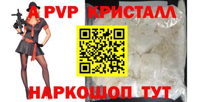индика Сланцы