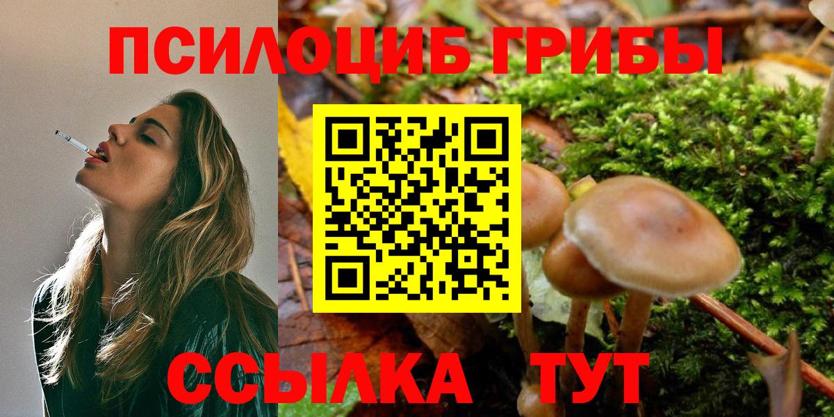 Омск  Псилоцибиновые грибы GOLDEN TEACHER  купить наркотик  Псилоцибиновые грибы Psilocybine cubensis  Вход с VPN 